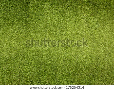 Artificial grass wall. Artificial turf. Thin green plastic.