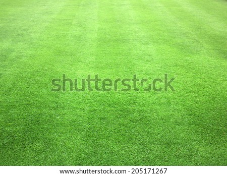 greensward football field background Green field