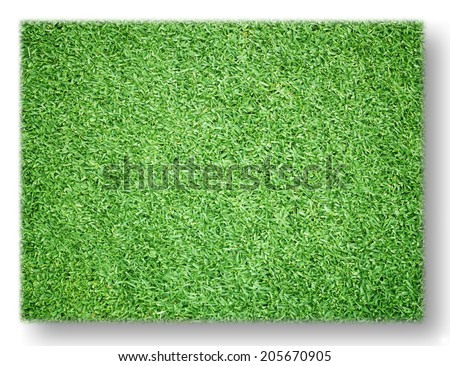 greensward football field background Green field isolated on white background.