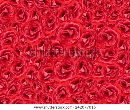 Red Roses background red represents passion refreshing.