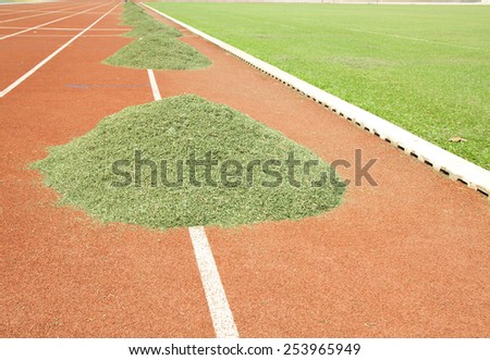 Cutting grass football field