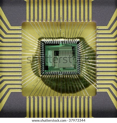 semiconductors the silicon chip Silicon chip - electronic equipment consisting of a small crystal of a silicon semiconductor fabricated to carry out a number of electronic functions in an integrated circuit micro chip , microchip , microprocessor chip , chip. semiconductors the silicon chip Silicon chip - electronic equipment consisting of a small crystal of a silicon semiconductor fabricated to carry out a number of electronic functions in an integrated circuit micro chip , microchip , microprocessor chip , chip.