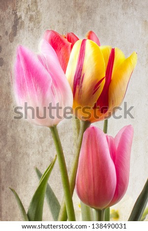 Bouquet ot tulips in vintage style on textured background
