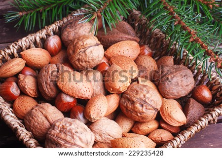 Variety of mixed nuts with fir branch