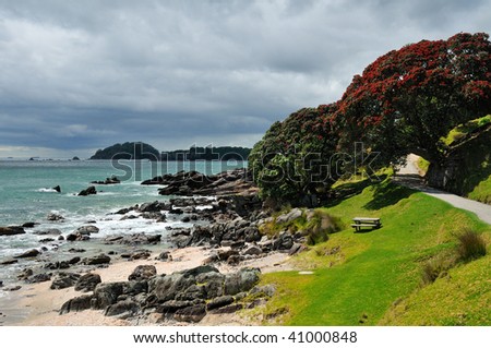 Rocky Coast, Coastal walk at Manganui, Bay of Plenty, New Zealand