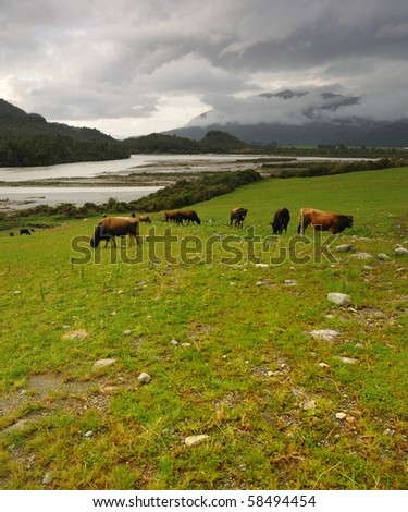 Grazing lands after the storm, Arthur's Pass National Park, New Zealand