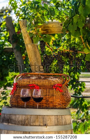 Two glasses of red wine sitting with a picnic basket in a beautiful winery vineyard
