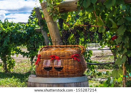 Picnic in vineyard with wicker basket and 2 glasses of red wine sitting on wine casket