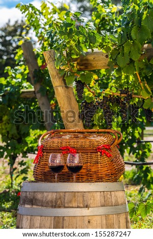 Picnic basket for 2 sitting on wine casket with 2 glasses of red wine in vineyard