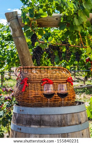 Two glasses of red wine and a picnic basket for a romantic date in a winery