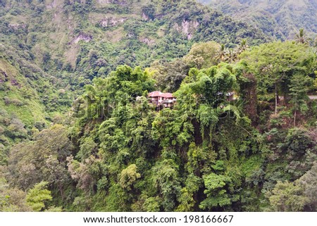 A remote house in the Jungle in a deep valley in Flores, Indonesia