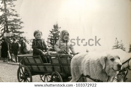 Vintage photo of children in dog powered cart (seventies)