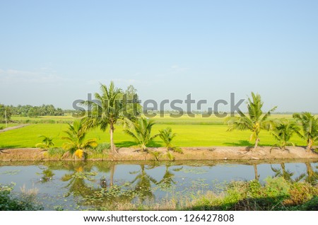 Thailand - rural landscape (between Bangkok and Aranyaprathet)