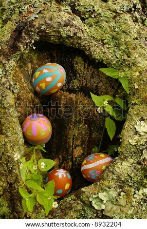 Easter eggs hidden in tree hollow