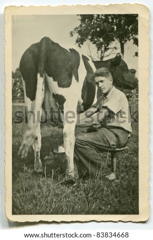 Vintage photo of young man milking cow (forties)