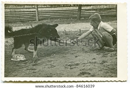Vintage photo of boy training his dog(fifties)