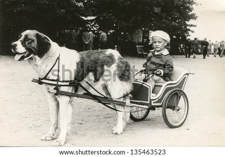 Vintage photo of little girl on dog drawn carriage (fifties)