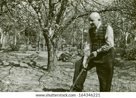Vintage photo of man digging in garden, fifties