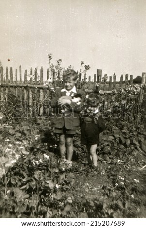 POLAND, CIRCA MAY 1954: Vintage photo of two little boys with a cat