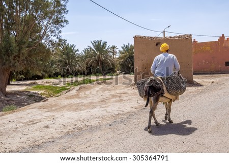 TAFILALT, MOROCCO, APRIL 12, 2015: Local man travels on donkey in oasis