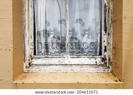 Bottom half of a window in an abandoned building featuring nautical themed net curtains