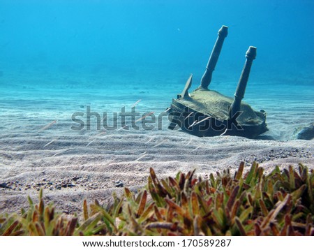 Underwater landscape features chair wreck, sand divers and seagrass