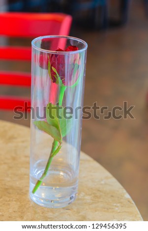 Red rose on the table