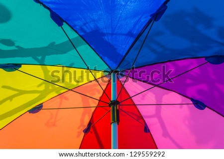 Colorful umbrella with shadow branch for backgrounds.