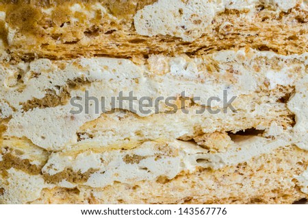 Close up layer cake texture