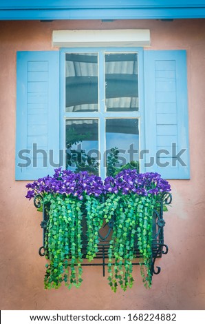 Windows and flowers box