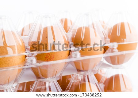 eggs packed isolated white background