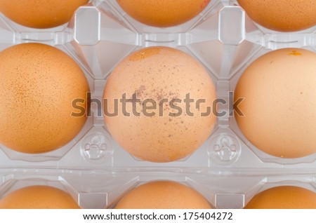 Eggs packed isolated white background