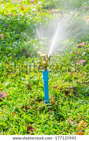 sprinkler head watering in the garden