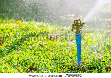 sprinkler head watering in the garden