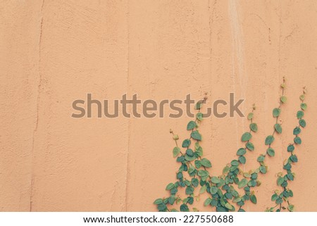 Empty wall with leaf side of frame - vintage effect style picture