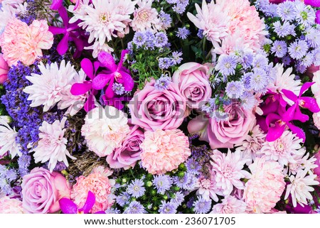 Colorful nature flower backgrounds