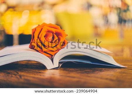 Rose on book - vintage effect style pictures
