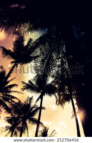 silhouette palm tree - vintage effect filter and light leak filter effect