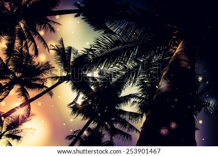 silhouette palm tree - vintage effect filter and light leak filter effect