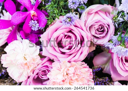 Colorful nature flower backgrounds