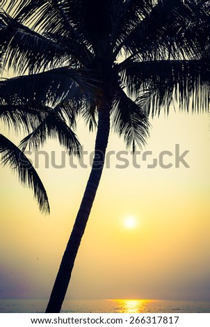 Silhouette palm tree with sun light - vintage filter and light leak effect processing style