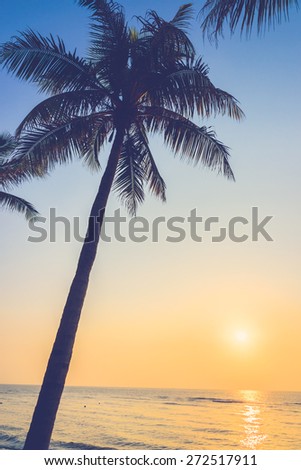 Silhouette palm tree with sun flare - vintage filter effect