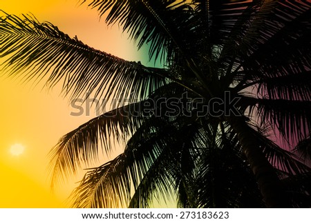 Silhouette palm tree with sun light - vintage filter and light leak effect processing style
