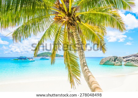 Beautiful tropical beach and sea with palm tree on blue sky background