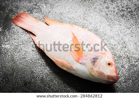 Raw tilapia fresh fish on black stone background - dark processing style pictures