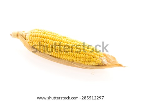 Yellow corn isolated on white background