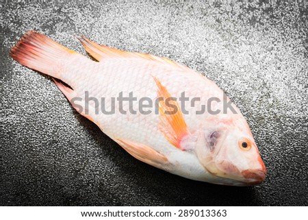 Raw tilapia fresh fish on black stone background - dark processing style pictures