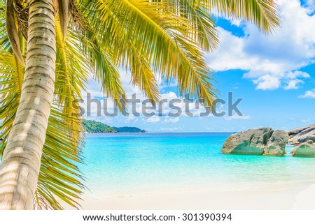 Beautiful tropical beach and sea with palm tree on blue sky background