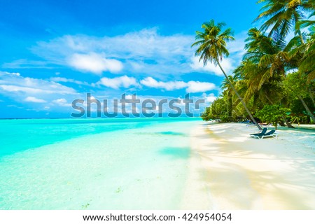 Beautiful tropical beach and sea in maldives island with coconut palm tree and blue sky background