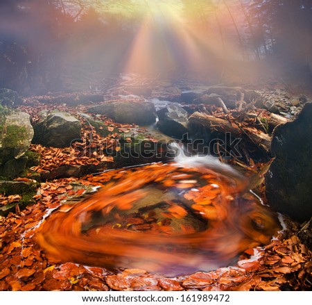 Beech leaf at the mercy of the rapid mountain river in alpine forest rotates in a circle, forming a mysterious beautiful shape, born of a slow shutter speed pan Alpine painting in nature impresses...